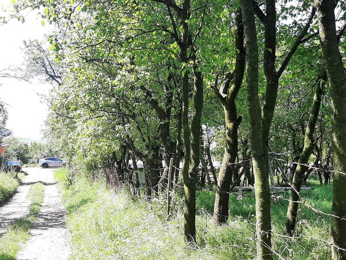 Teren de vanzare in Rediu - Poză 2