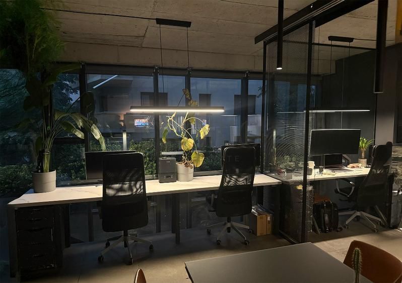 Spatiu Comercial / Birou in Win Herastrau | 2 Etaje | 2 Intrari - Poză 5