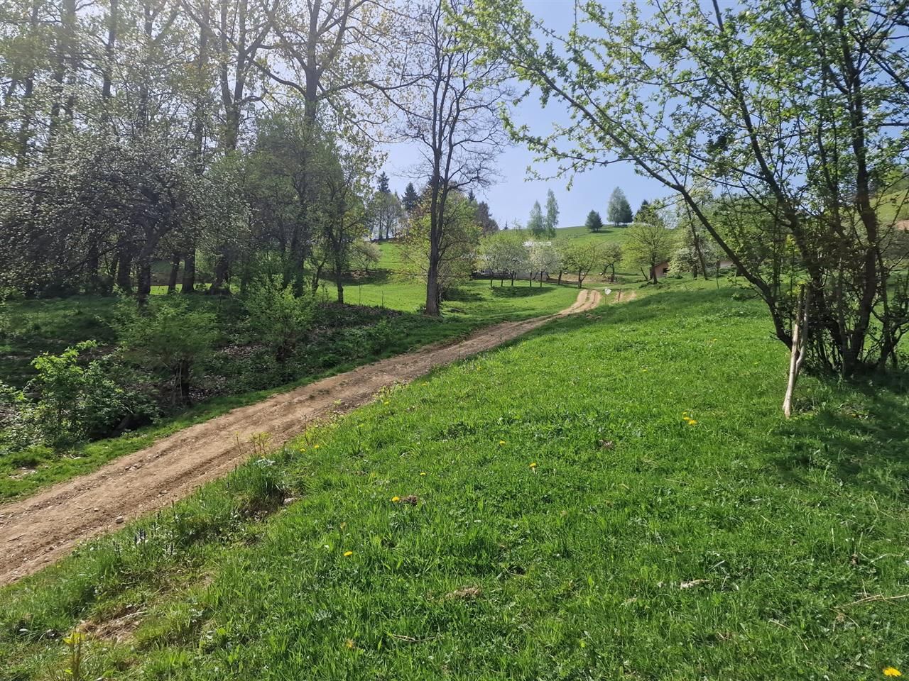 Langa emblematicul Castelul Bran, in areal colinar, 5.700mp intravilan - Poză 6