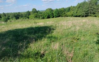 Teren extravilan | Vicovu de Jos | Preț 25.000 - Poză 3