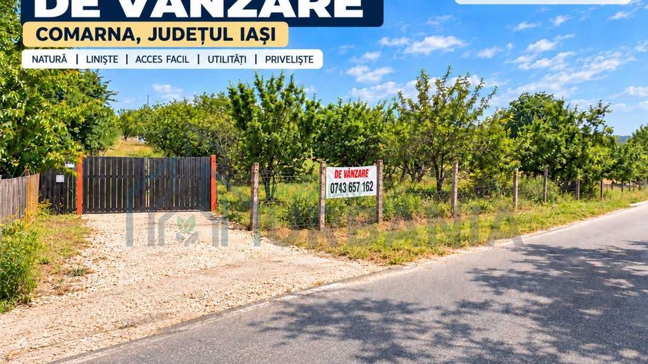 Proprietate de vânzare în comuna Comarna, județul Iași: teren intravilan și extravilan, livadă, vie și construcții existente - Poză 4