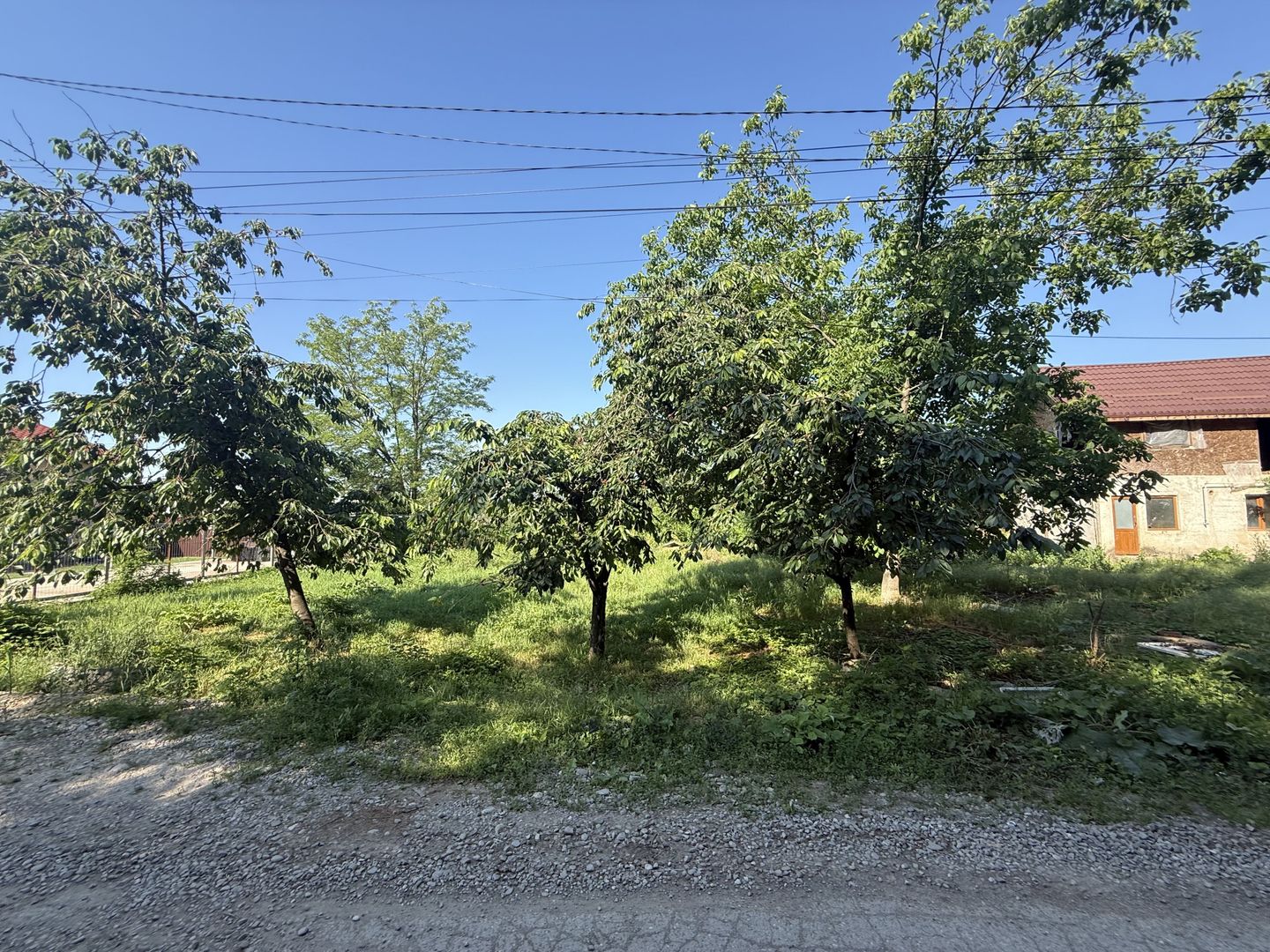 Casă renovanila lângă pădure 91 mp + teren 500 mp cu toate utilitățile - Poză 20