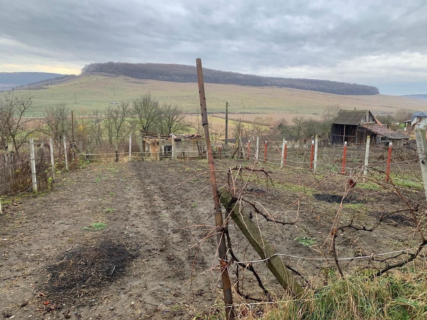 Casa de vanzare, Exclusivitate - Poză 4