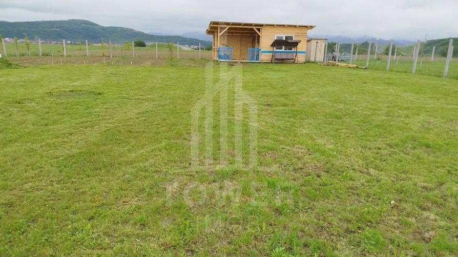 Grădină 862 mp cu cabanuta și pomi fructiferi – între Tălmaciu și Sadu - Poză 7