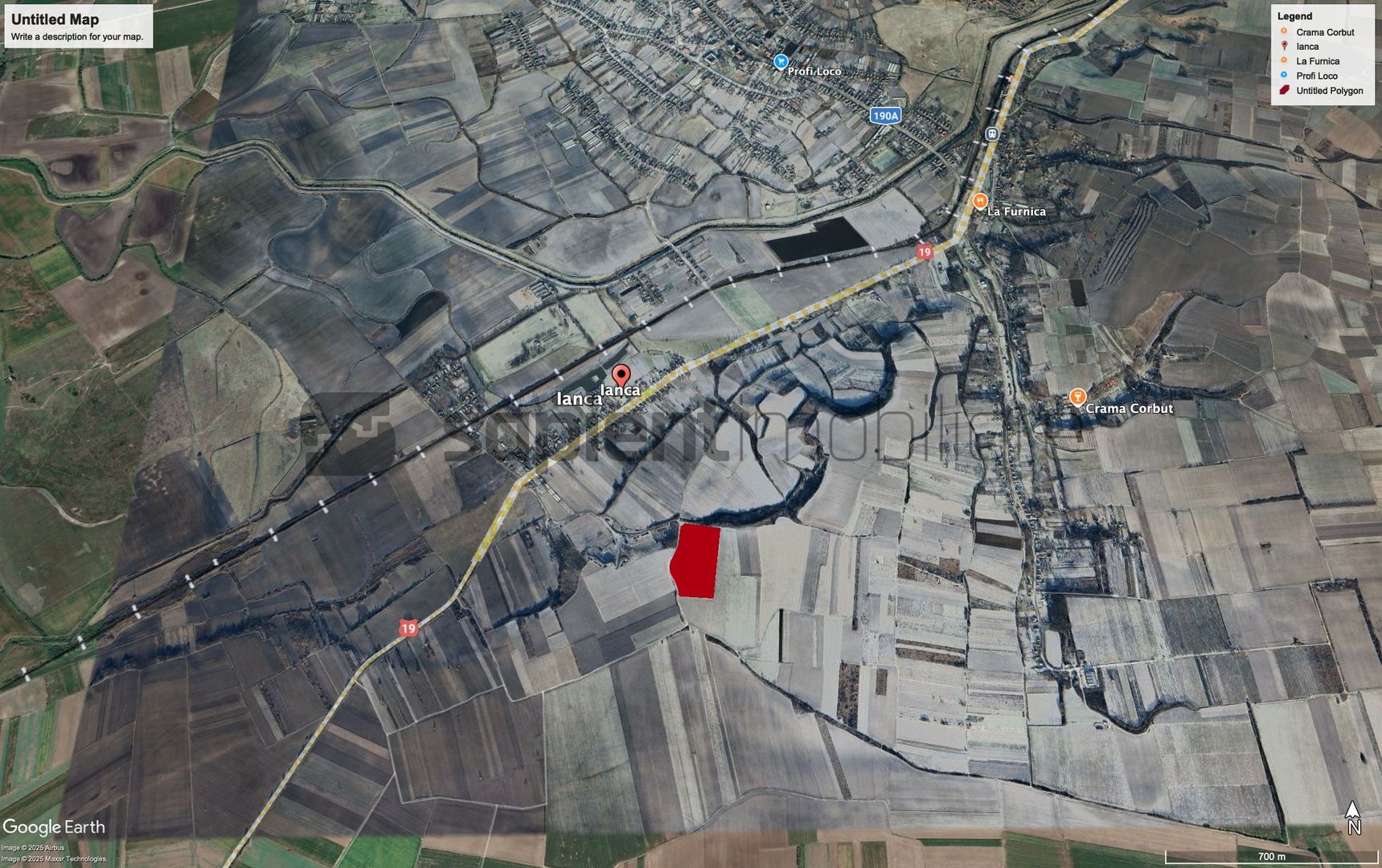 Sapient | Teren cu plantație de vie în loc. Diosig, jud. Bihor - Poză 4