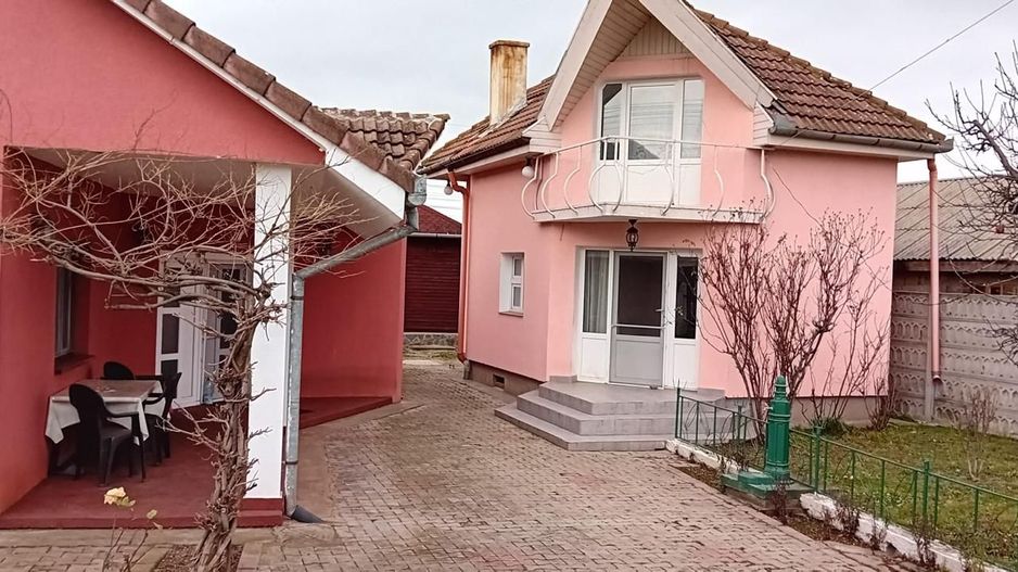 OFERTĂ in Băcia, Hunedoara ! Proprietate 2 case + Cabană + Livadă - Poză 2