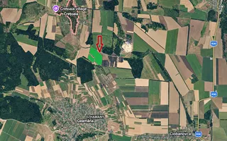 LIVADĂ DE NUCI – 24,5 HA | ȚÎNȚĂRENI, ANENII NOI - Poză 13