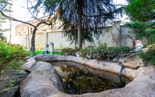Vânzare, casă 3 nivele, stradela  5 Pomicultorului, Codru - Poză 18