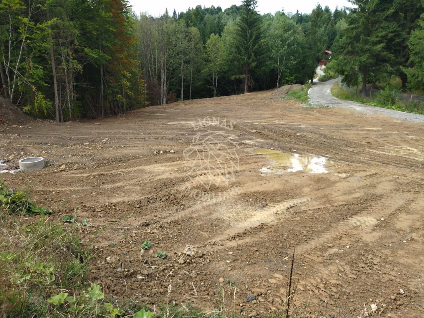 Teren intravilan 1350 mp-parcelabil-ideal cabana/restaurant-Colibita - Poză 1