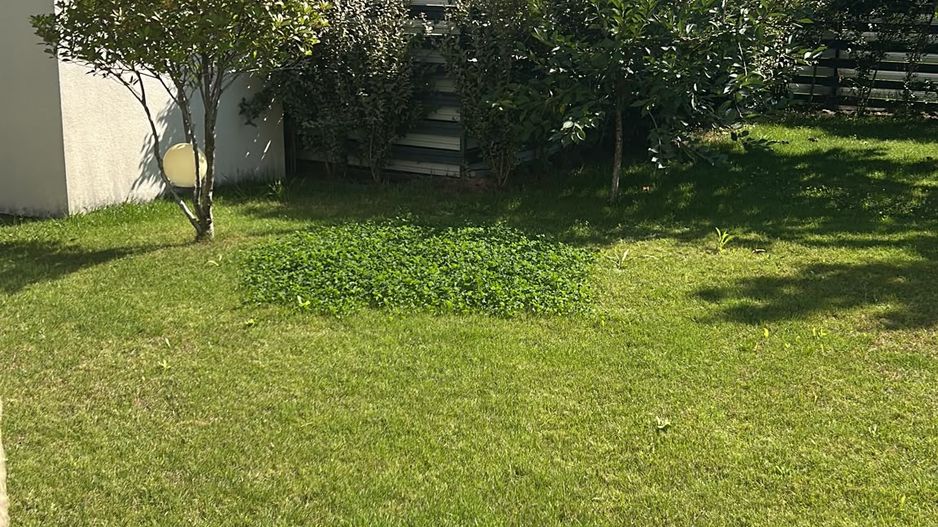 Casă / Vilă cu 4 camere de vânzare Prestige Residence - Corbeanca - Poză 4