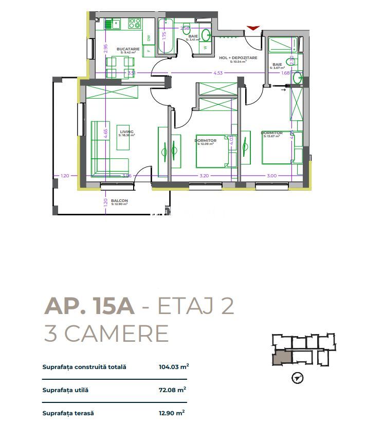 ROKMAN Tiberiu Eremia 12 - Poză 12