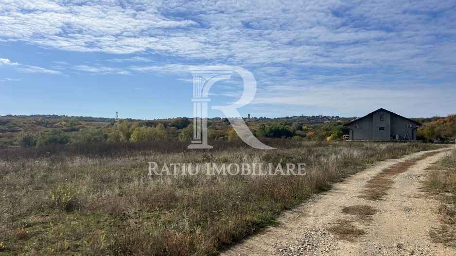 Teren intravilan 2500 MP | Paleu | Bihor - Poză 3