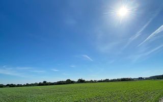 Teren Intravilan 825mp Cu dubla deschidere si Drum de servitute, Dascalu  Ilfov - Poză 3