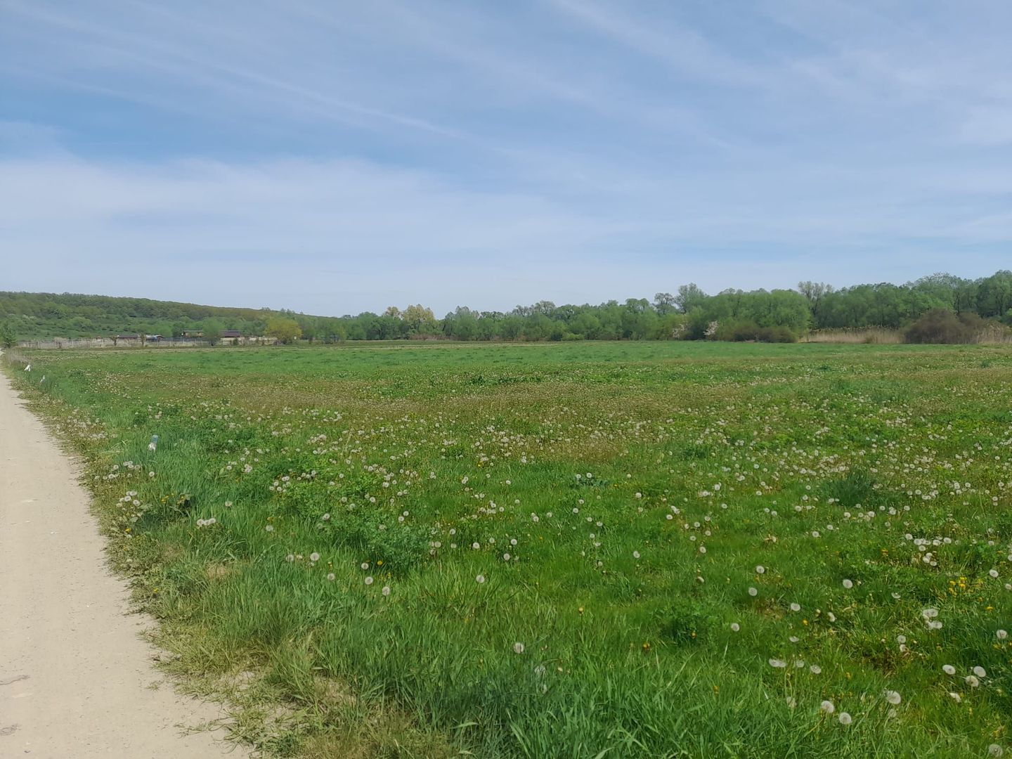 Teren de vanzare intravilan 5000 m2 Cisnadie zona SOMA - Poză 3