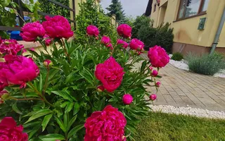 Vila spațioasă și recent renovată în Ghiroda! - Poză 26