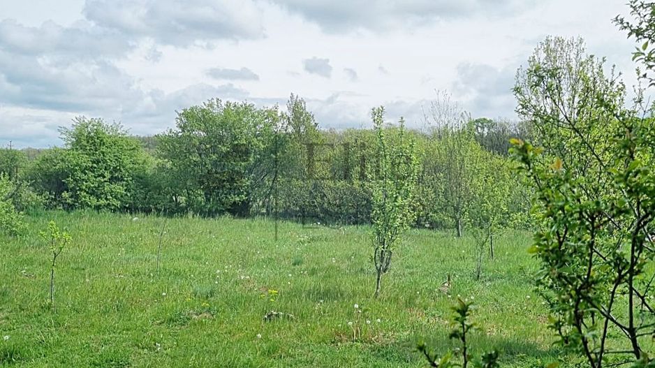 Casa cu teren 1439 mp de vanzare in Gurbediu, Bihor - Poză 10