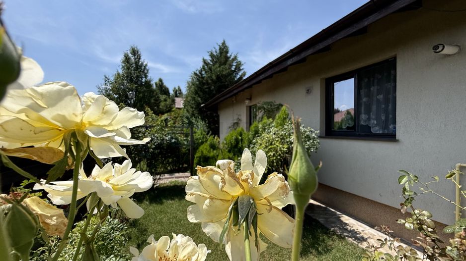Casa pe parter Balotesti | Teren 600 mp - Poză 4