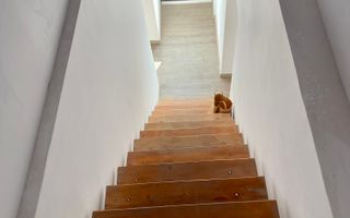 De vânzare – Clădire impresionantă, 11 camere, 9 dormitoare, Păcurari - Poză 29