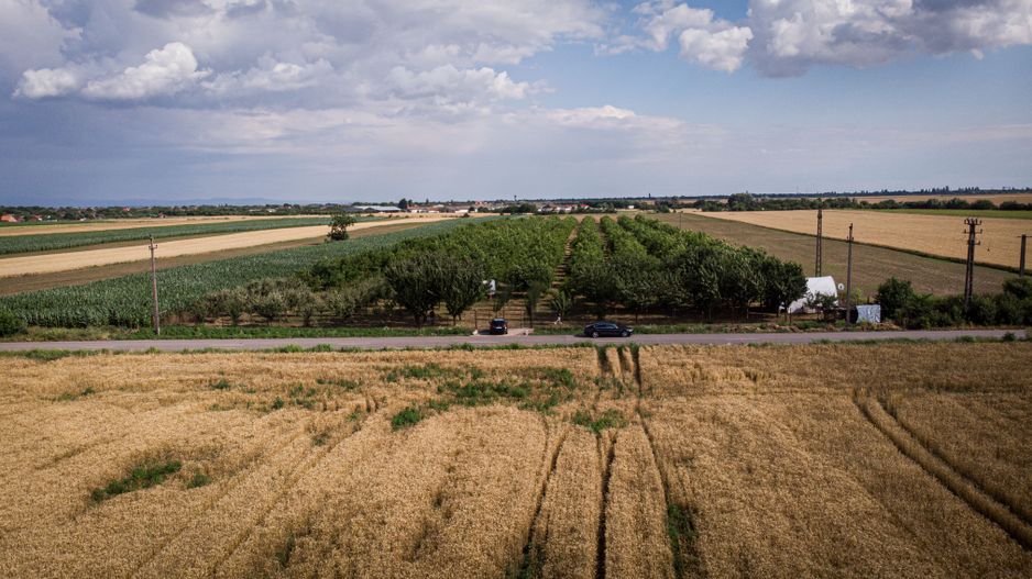 Livadă de nuci altoită și ecologică 2.5ha - Poză 10