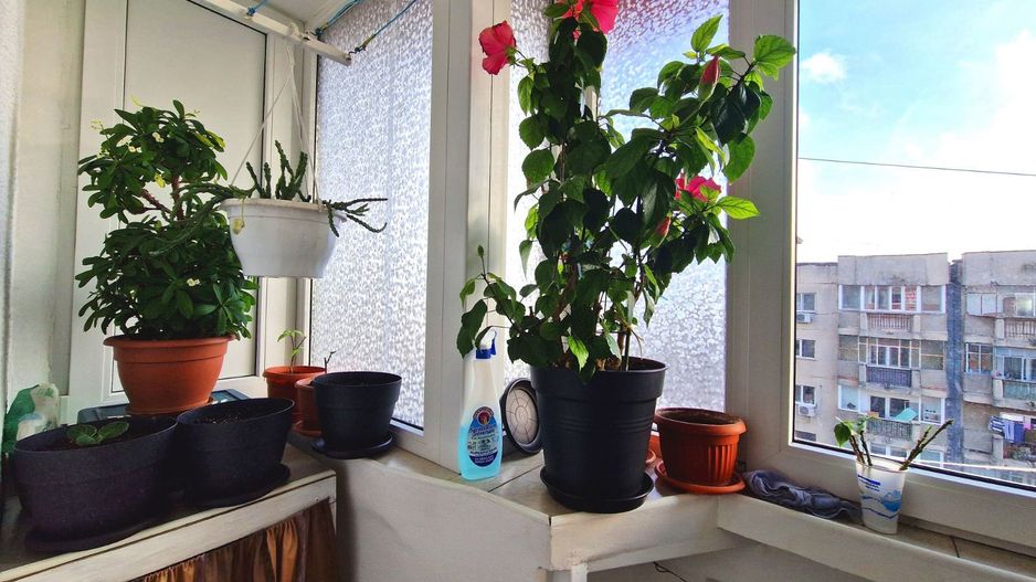 AP. 4 CAMERE 13 SEPTEMBRIE, BLOC REABILITAT,LOC PARCARE, MODERN - Poză 11