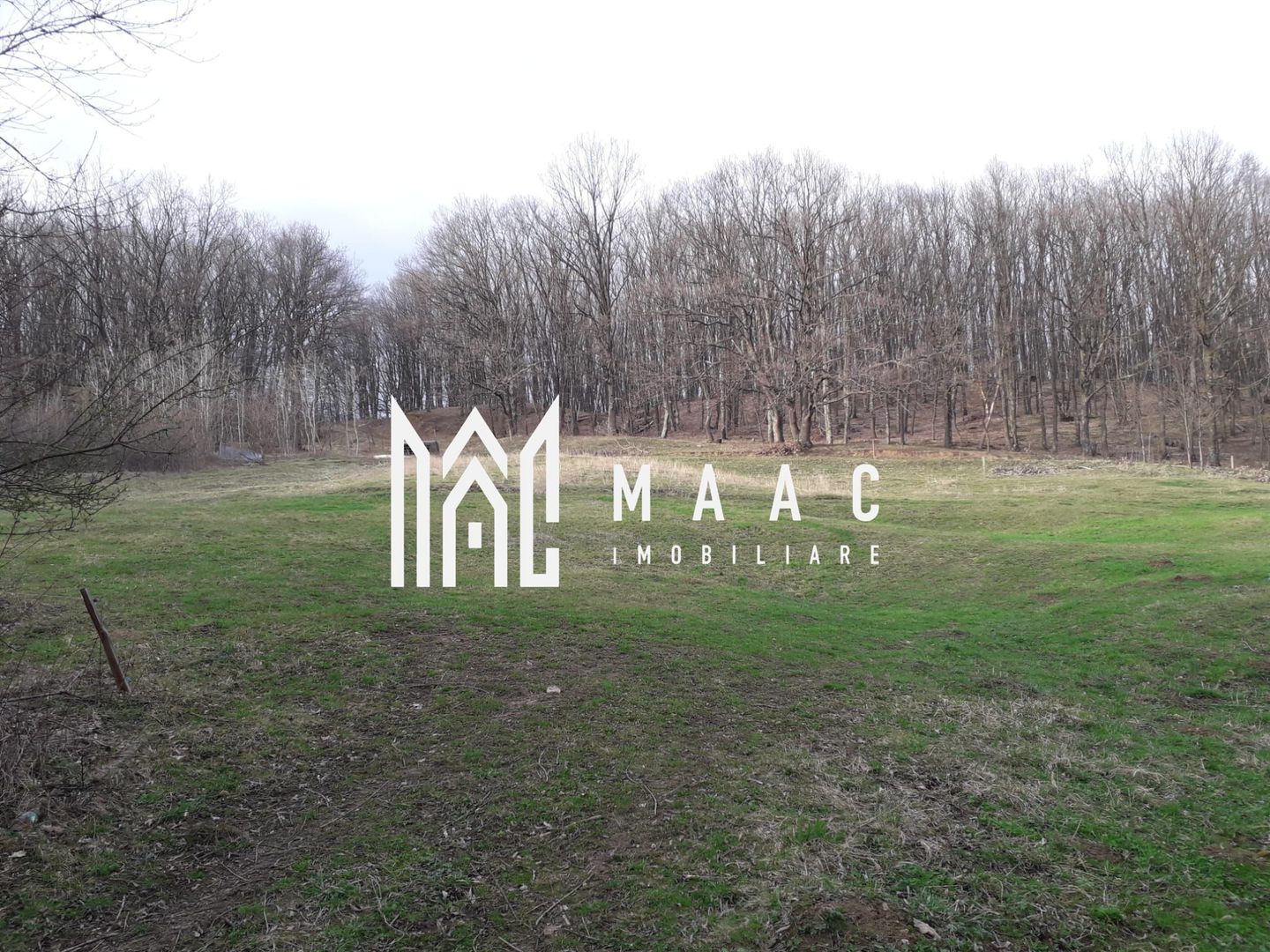 Teren Extravilan 4.572mp | Zonă liniștită | Sadu - Poză 4