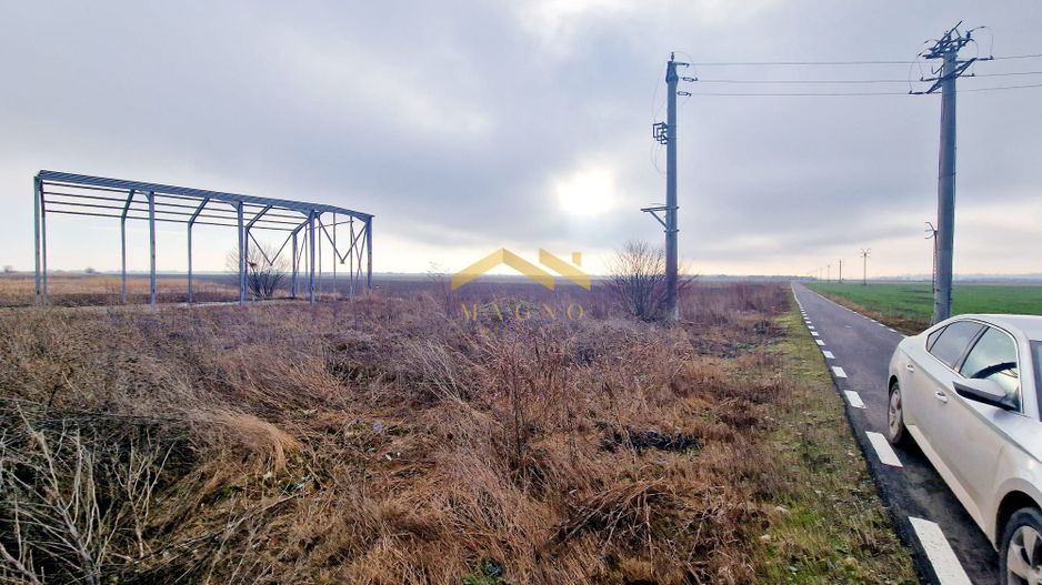 Oportunitate de investiti, teren 2HA intre Vladimirescu si Mandruloc - Poză 3