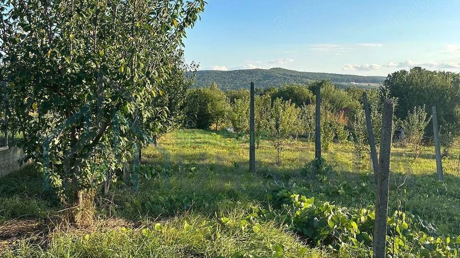 Teren intravilan de vânzare în centrul comunei Bârnova, Iași - Poză 3