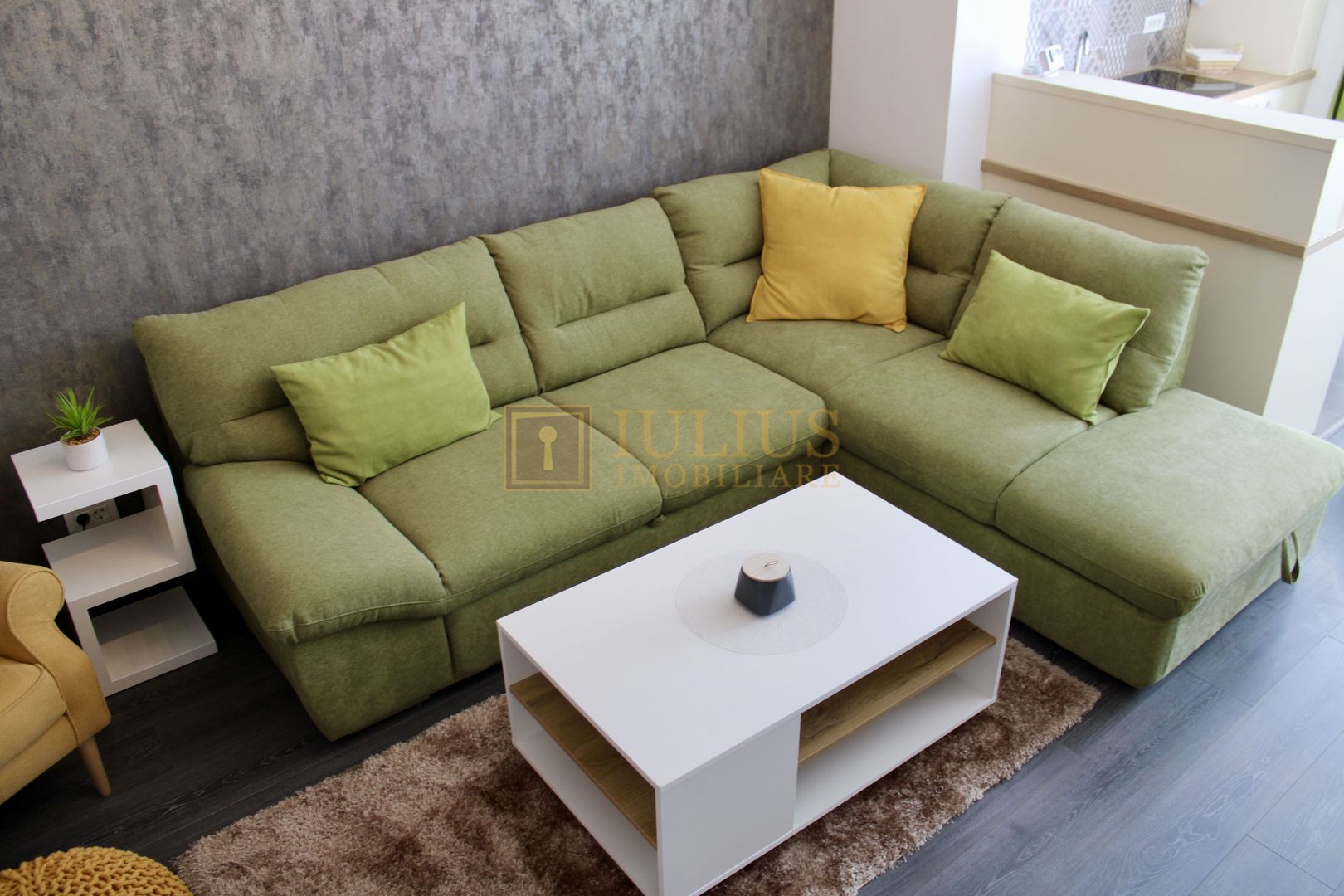 Mobilat modern, Vivalia - Str. Baader/Take Ionescu. Parcare subterana inclusa. - Poză 4