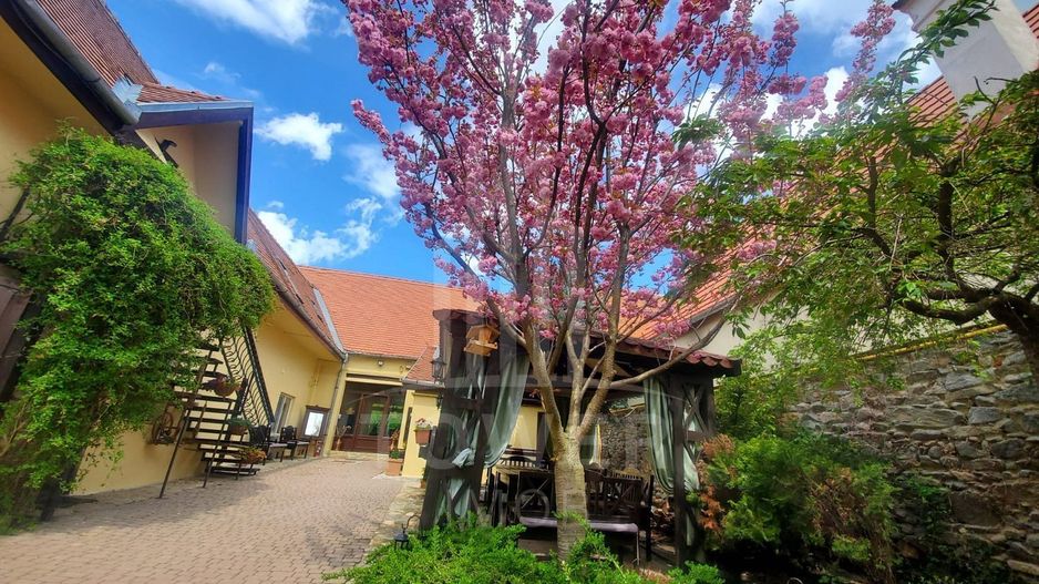 Pensiune de vânzare-9 camere cu baie, restaurant, curte-Apoldu de Sus - Poză 5