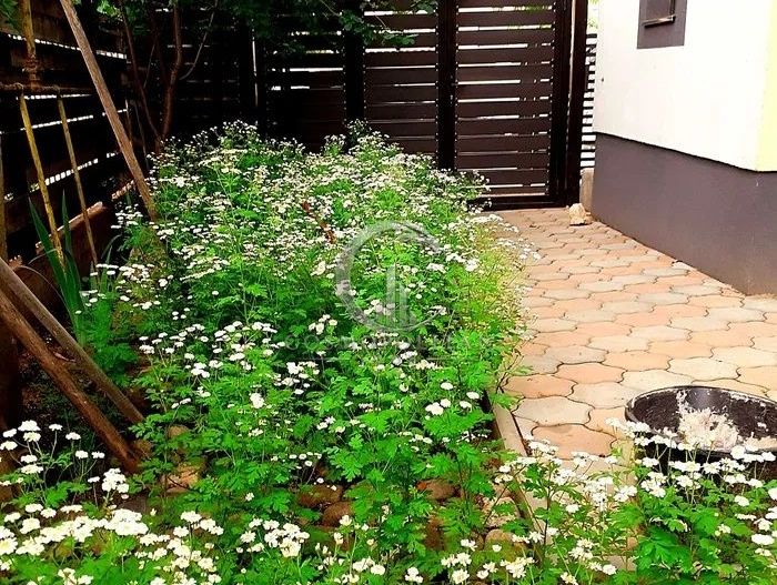 Casa P+1 zona centrala teren 365mp Pret: 205.000 neg. - Poză 7