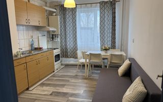 Apartament 1 camera Gruia-43 mp - Poză 2