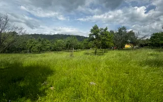 TEREN INTRAVILAN 4600 MP, VOINESTI, LERESTI, ARGEȘ - Poză 11