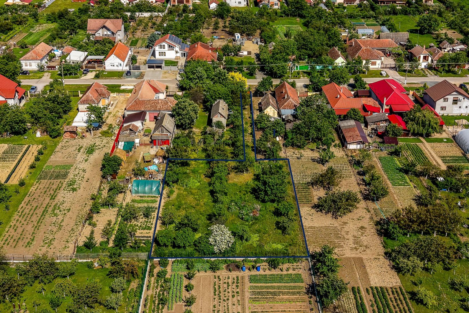 Teren intravilan 1594 mp în Cicir – la doar 9 km de Arad! - COMISION 0 - Poză 2