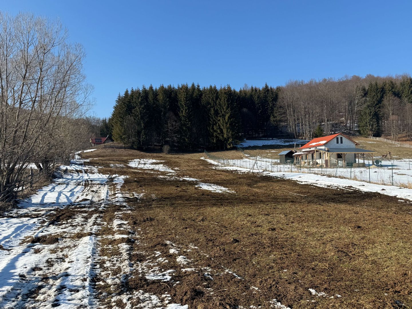 Teren intravilan 4521mp lângă pădure-valea Doftanei -Calea Brasovului - Poză 8