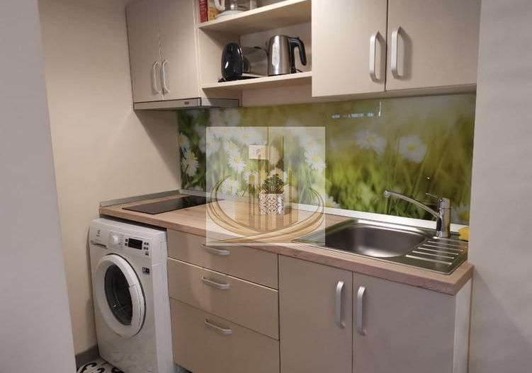 Grand Mobilis Imobiliare Apartament 2 camere(1 dormitor) de închiriat - Poză 3