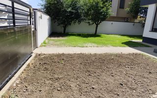 Padurea Craiului - Poză 8