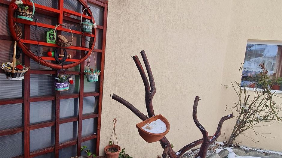 Pensiune in decor fermecator, loc de istorie si legenda, Moieciu de Jos, Bran - Poză 15