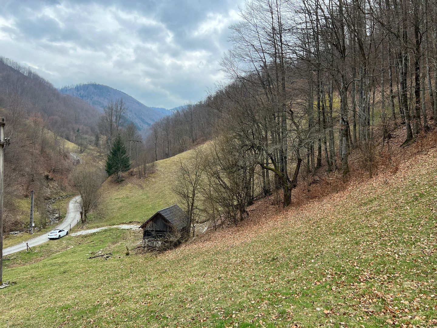 Teren intravilan 1.28ha Remeti–perfect pensiune/cabane, zonă turistica - Poză 6