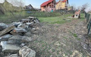 Hlincea, str.Mănăstirii, CIUREA, Iaşi + 1.700 mp teren şi Vilă (D+P+M) - Poză 10