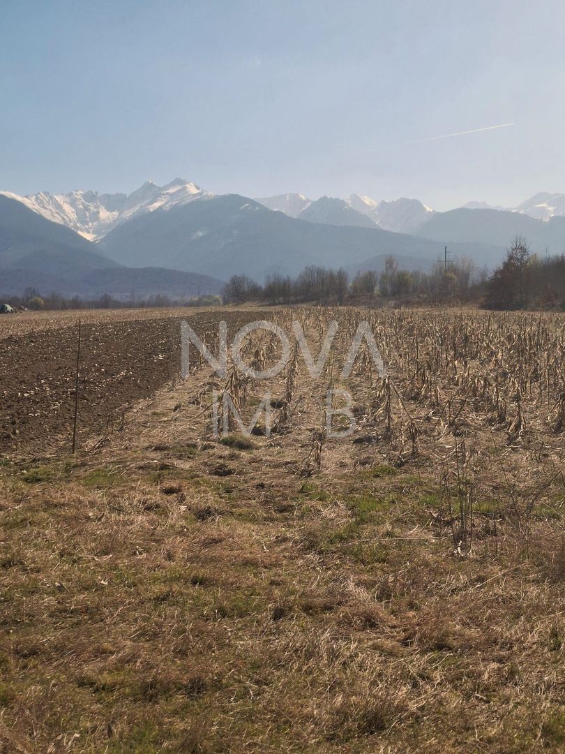 Teren extravilan de vanzare - Arpasul de Sus - Poză 5