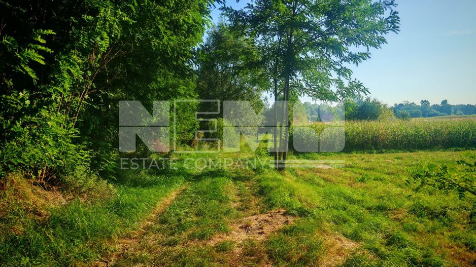 TEREN INTRAVILAN | FRATĂUȚII NOI | 1.1 HA - Poză 6