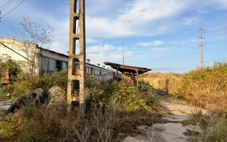 Fermă Sărand | Bihor | 25.659 mp teren intravilan - Poză 21