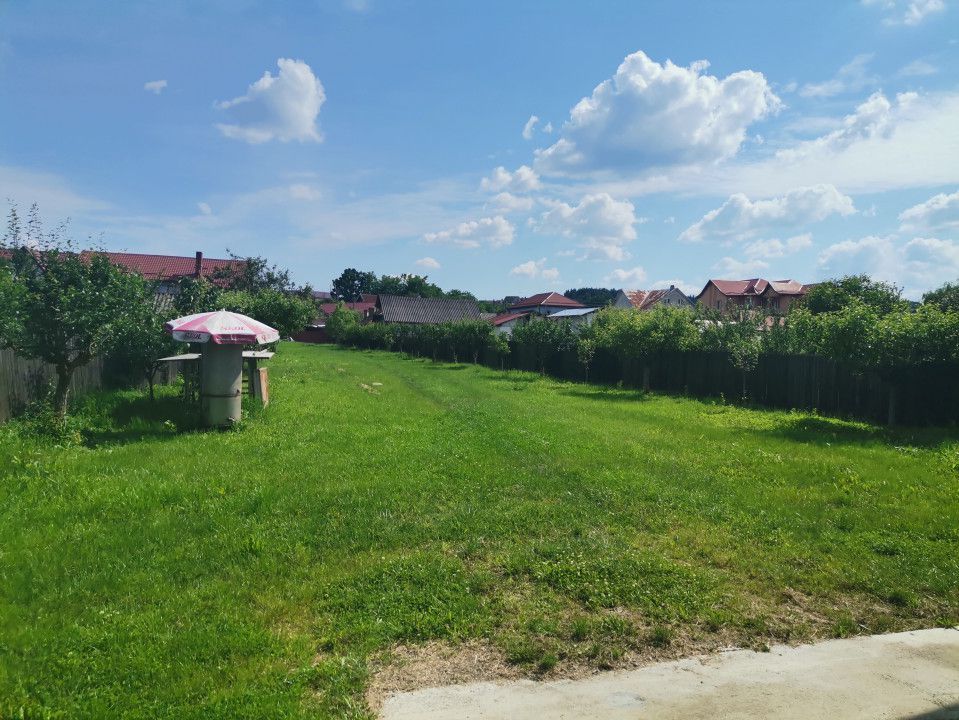 Inchiriere hala depozitare si teren, Labusesti - Poză 7