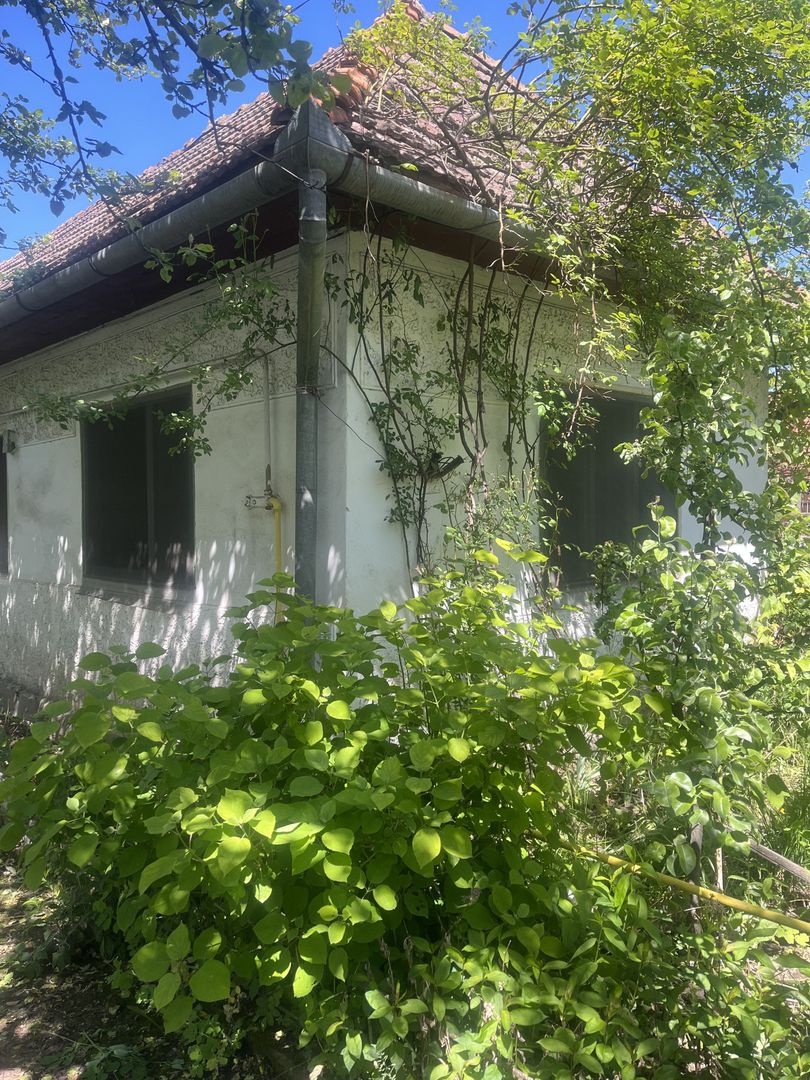 Căsuța bunicii de vânzare -locație excelentă, posibilitate de schimb. - Poză 5