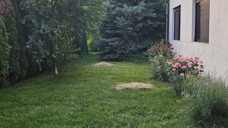 Vila 8 camere Dascalu - Poză 25