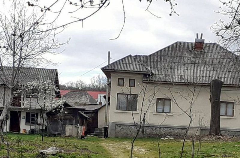 Casa de vanzare Domnesti Arges - Poză 2