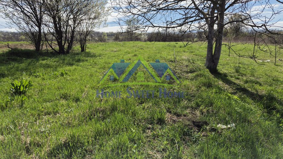 Vand casa 6 camere in Silvasul de Jos, 258mp si 3787mp teren! - Poză 5