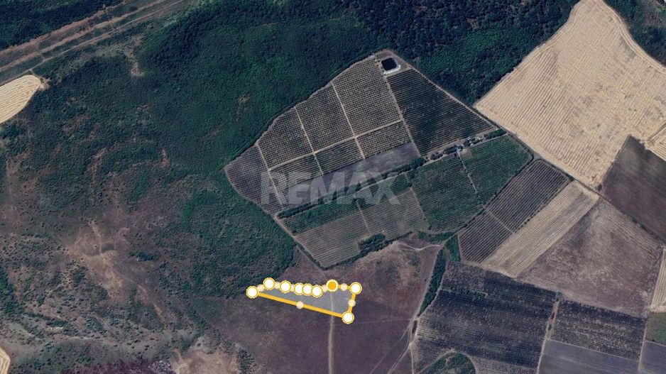 Teren Agricol Țânțăreni - Poză 1