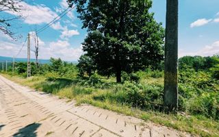 Teren extravilan 1.667 mp cu vedere panoramică – Dealul Ținea, Băicoi - Poză 4
