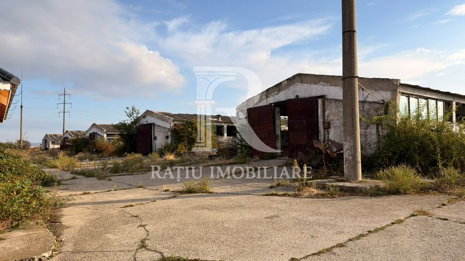 Fermă Sărand | Bihor | 25.659 mp teren intravilan - Poză 20